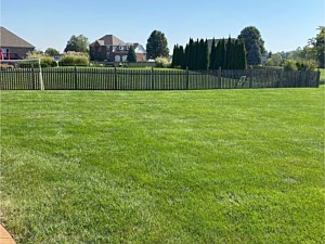 Pool Landscaping, Perry Township, IN