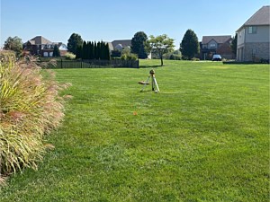 Pool Landscaping, Bargersville IN