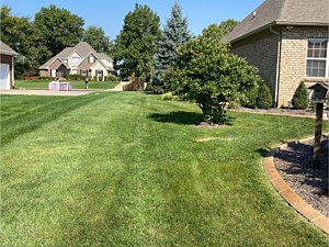 Pool Landscaping, Noblesville IN